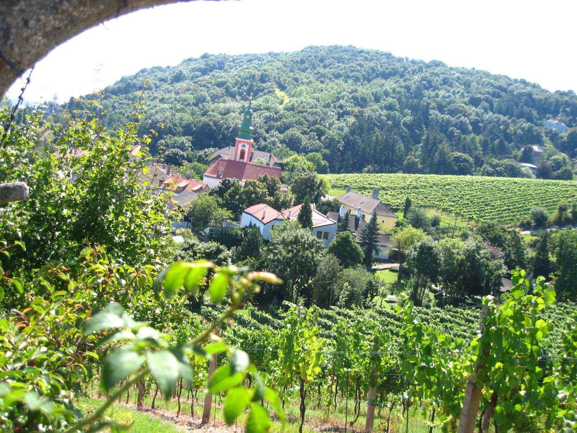 Vienna Cottage المظهر الخارجي الصورة