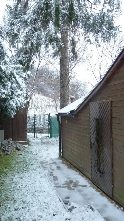 Vienna Cottage المظهر الخارجي الصورة