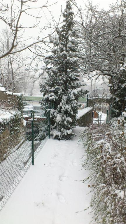 Vienna Cottage المظهر الخارجي الصورة